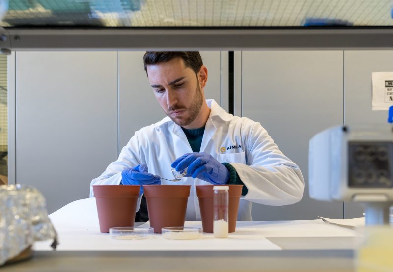 Hidrogeles a partir de algas marinas