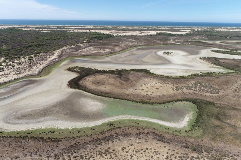 Las lagunas de Doñana han desaparecido en las últimas décadas