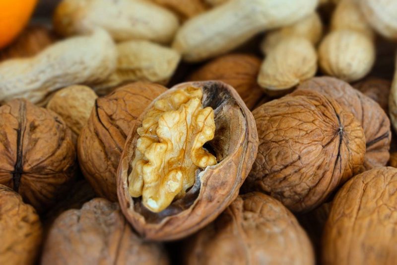 Las nueces son vitales en el desarrollo cognitivo en la adolescencia