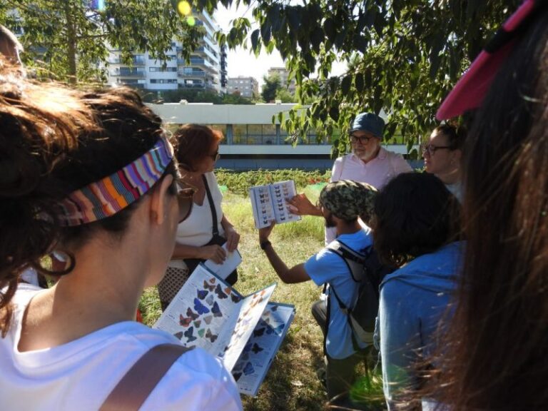 Mariposas singulares o en regresión en Barcelona