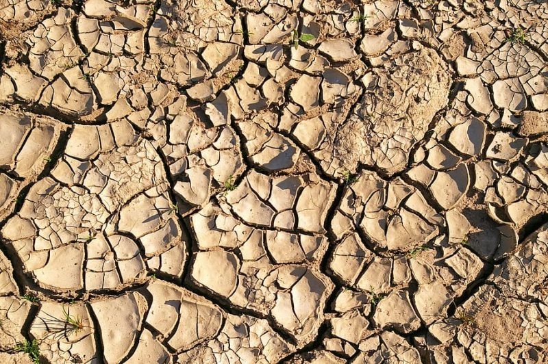 dry soil drought dehydrated shriveled from withered earth ground e1681284780254