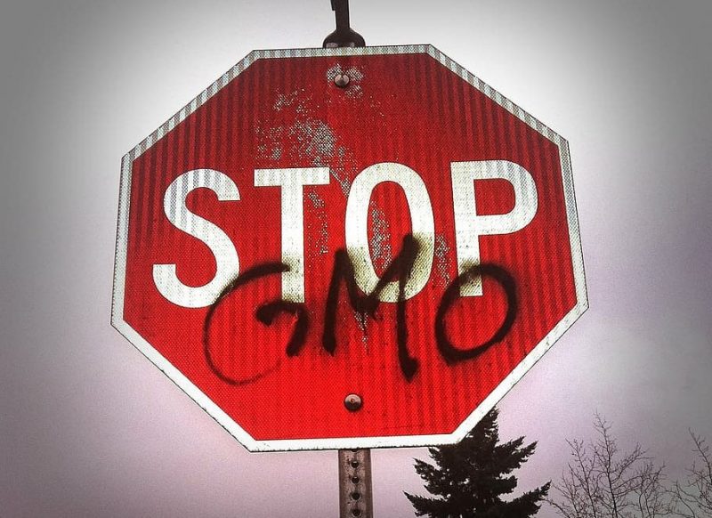 Día Internacional de Oposición a los Alimentos Transgénicos 2023