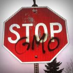 Día Internacional de Oposición a los Alimentos Transgénicos 2023