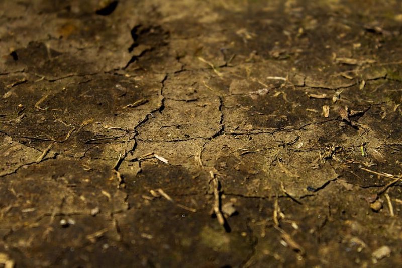 Andalucía quiere luchar contra la sequía desde la UE