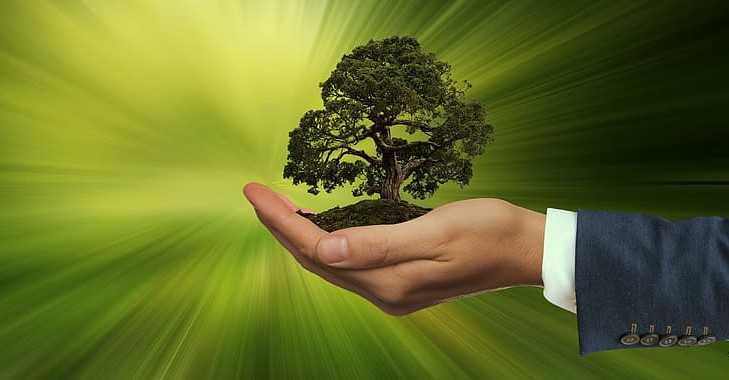 UE: Nuevas plantillas para la transición ecológica