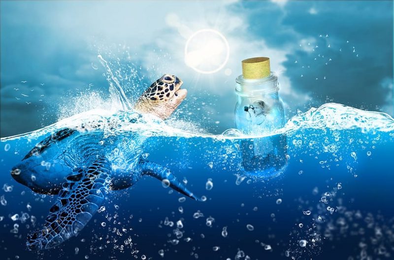 Somos los peores vecinos de planeta