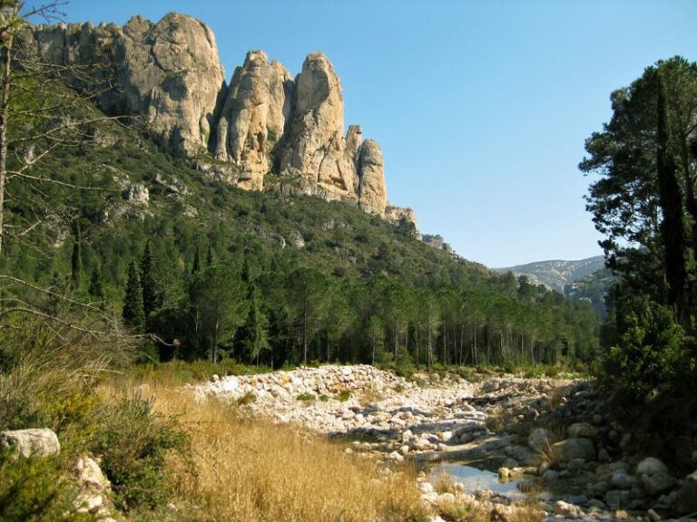Día Europeo de la Red Natura 2000 2023