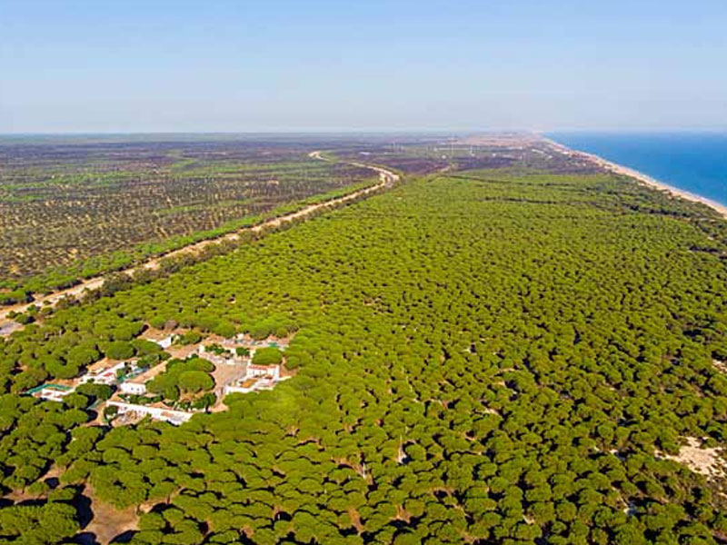 146.079 firmas piden la protección de Doñana