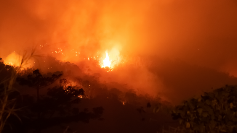 Indígenas de América del Sur victimas de los incendios forestales