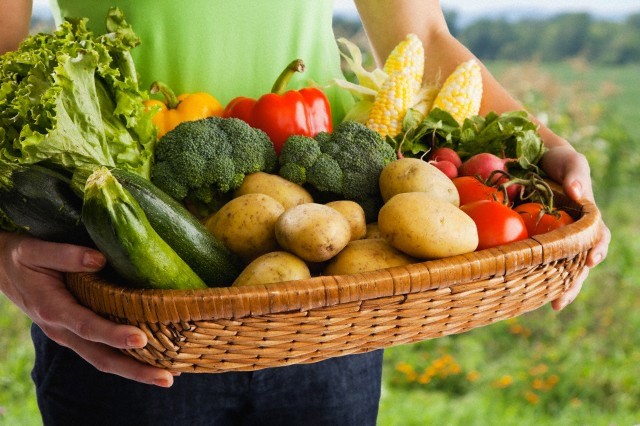 Hablemos de agricultura ecológica y medio ambiente