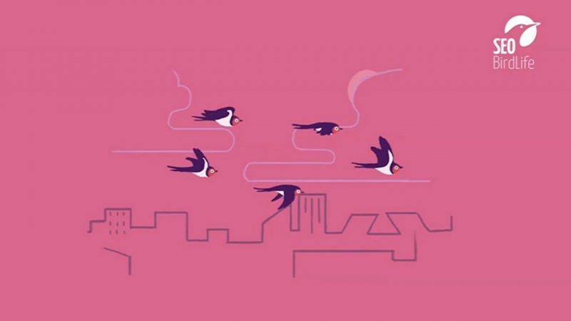 Campaña SOS Nidos de SEO/BirdLife