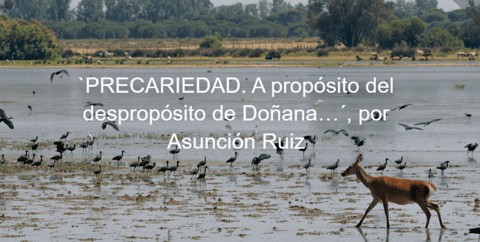 Acabemos con la precariedad ambiental