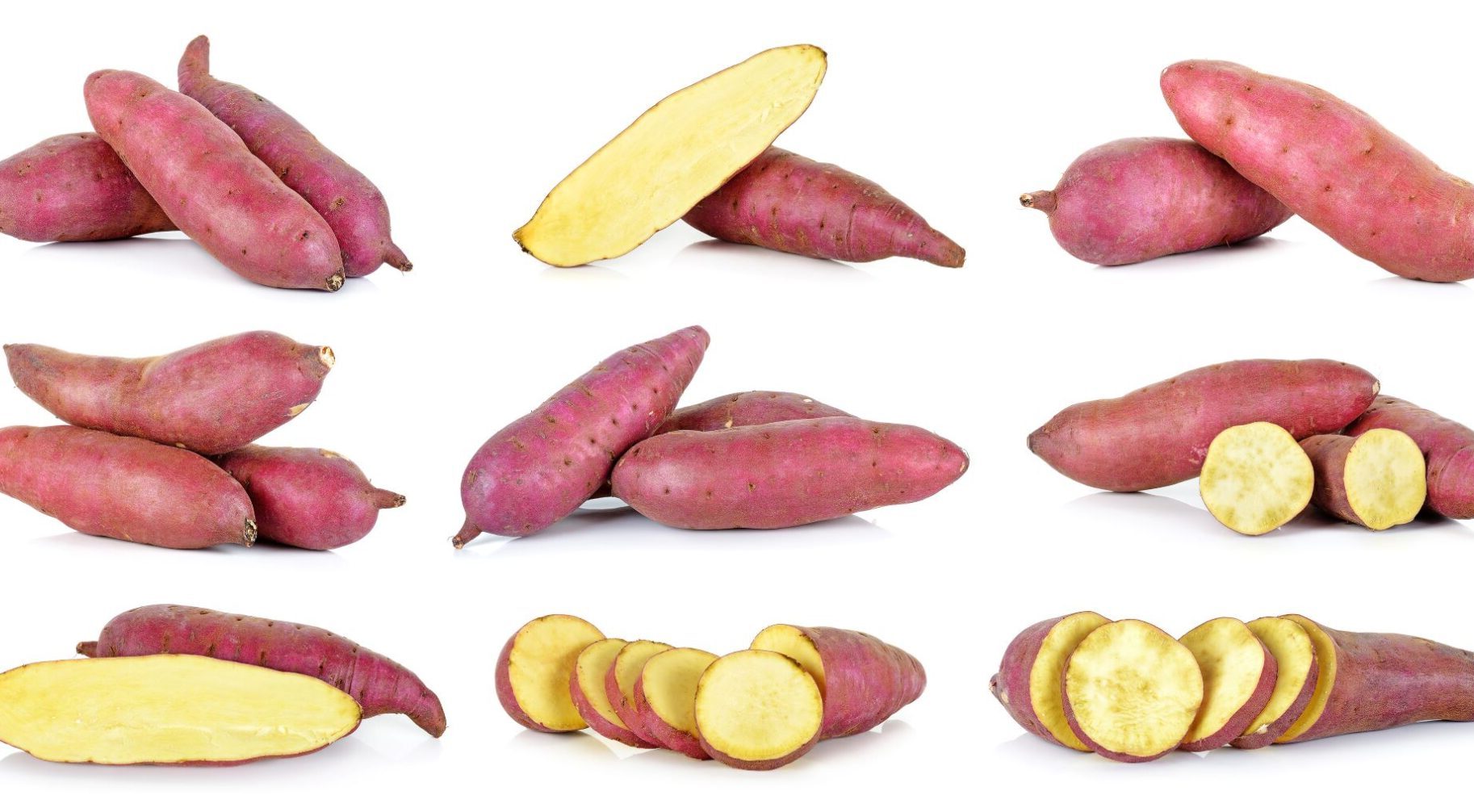 boniato ecológico beneficios