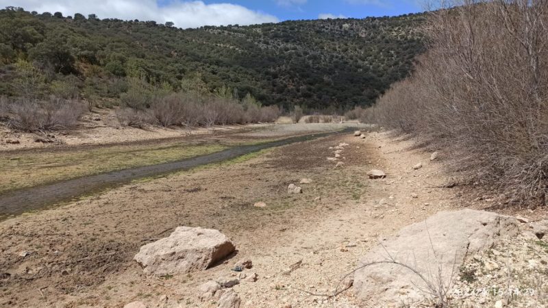 Global Nature se planta ante la sequía