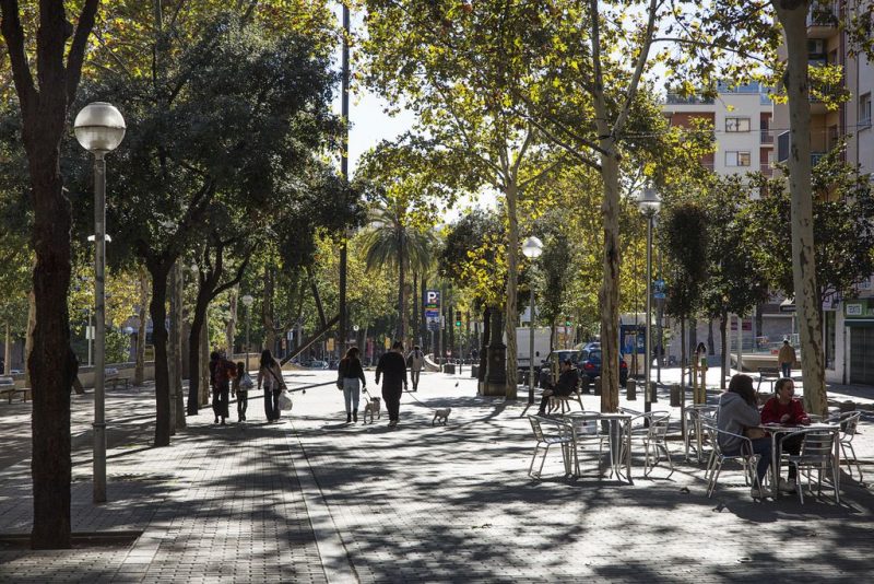 La Barcelona más humilde tiene más árboles en el espacio público