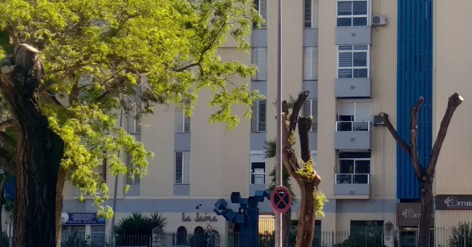 Podas en primavera: perjudiciales para la biodiversidad