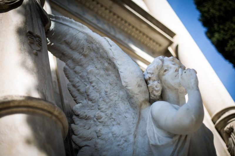 Restos de mastodontes en el cementerio de San Isidro