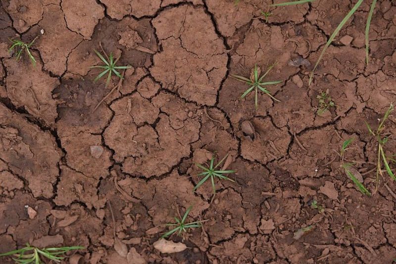 ¿Se pueden salvar los suelos de los EEUU?