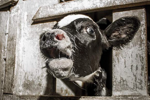 Hablemos de agricultura ecológica y medio ambiente
