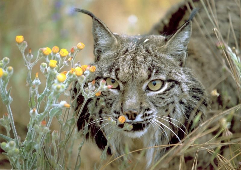 Hablemos de agricultura ecológica y medio ambiente