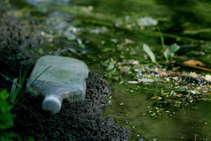 VII edición de ‘1 m² contra la basuraleza’