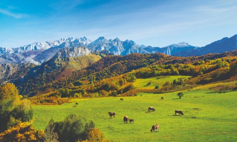 Asturias: ayudas directas para combatir la sequía. El real decreto-ley publicado en el Boletín Oficial del Estado también incluye iniciativas fiscales, la flexibilización de requisitos relativos a la Política Agraria Común (PAC) y la ampliación de la subvención de seguros agrarios ya contratados. Asturias contará por primera vez con ayudas directas para apoyar a ganaderos y agricultores frente a la sequía, según recoge el paquete de medidas urgentes aprobado esta semana por el Gobierno de España para el sector agrario, y que habían solicitado los Ejecutivos autonómicos de Asturias, Cantabria y Galicia. El real decreto-ley, publicado el viernes en el Boletín Oficial del Estado, fue fruto del consenso en el Consejo de Ministros. E incluye iniciativas fiscales, de flexibilización de requisitos relativos a la Política Agraria Común (PAC) o la ampliación de la subvención de los seguros agrarios ya contratados.
