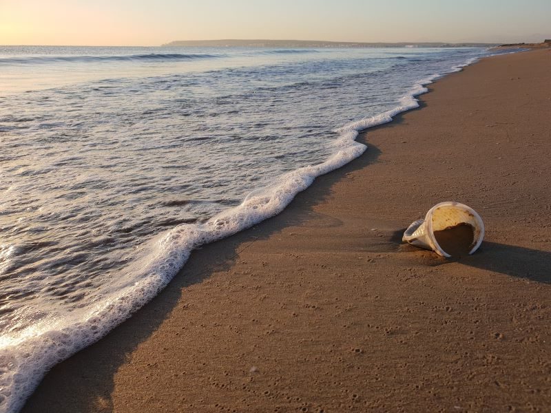 Los nefastos periplos marinos del plástico