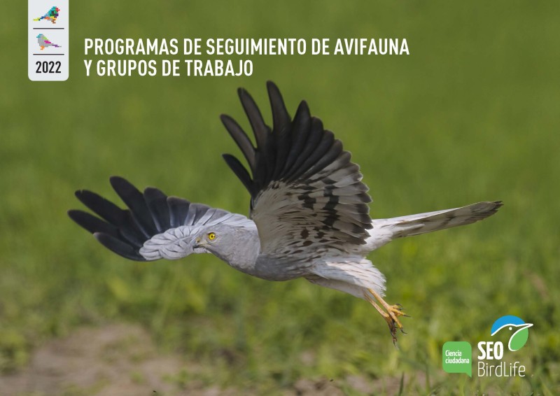 Últimos datos de seguimiento de aves de SEO/BirdLife