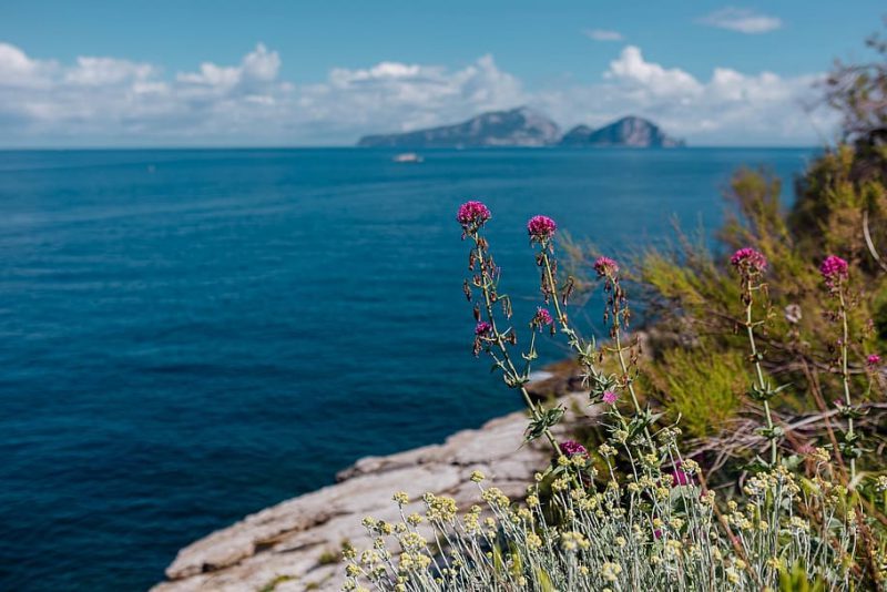 Los ecosistemas costeros son un sumidero de GEI
