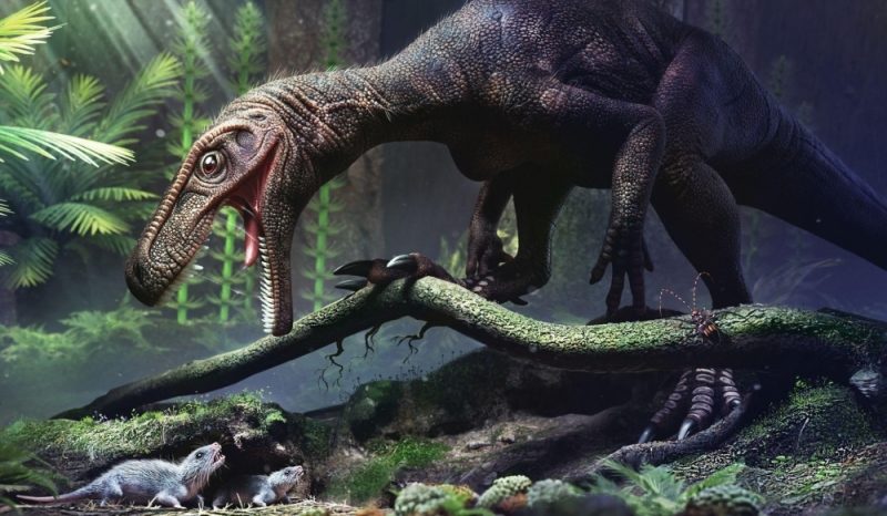 Qué hizo posible el gigantismo de los dinosaurios