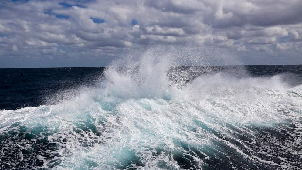 contribuyen a mitigar los efectos del calentamiento global