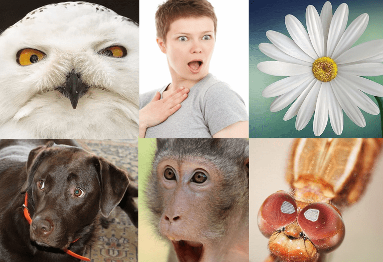 Tú y todos nosotros somos ‘asgardianos'