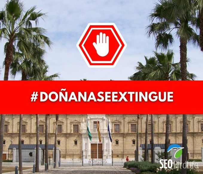 SEO/BirdLife apoya los argumentos científicos para salvar Doñana