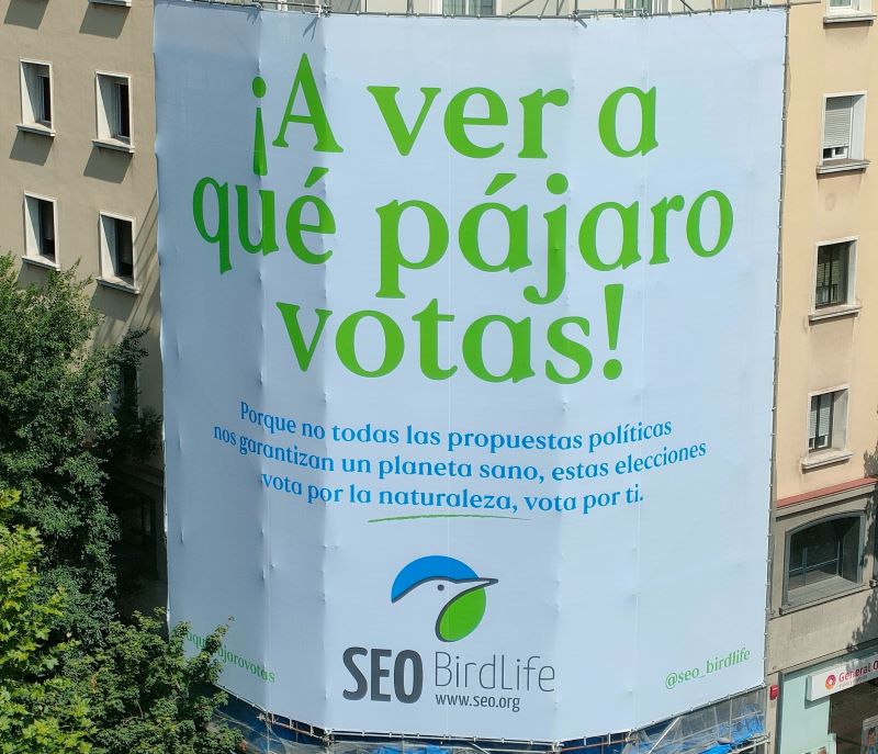 En las elecciones del 23J: A ver a qué pájaro votas