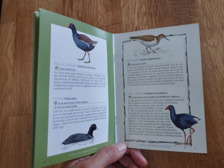 Nueva guía de aves de los humedales de Baleares