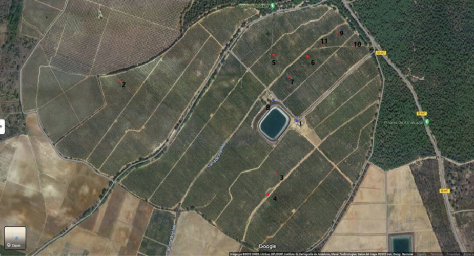 ¿Pozos ilegales de la Casa de Alba en Doñana?