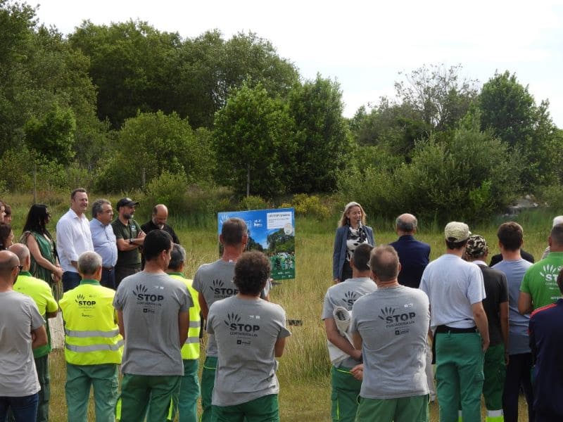 Marisma Victoria de Noja: sin plumero y premiada