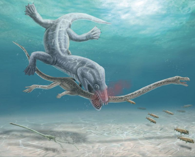 Qué paso con los reptiles marinos de cuello largo