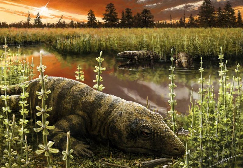 Todo sobre el tramuntanasaurio