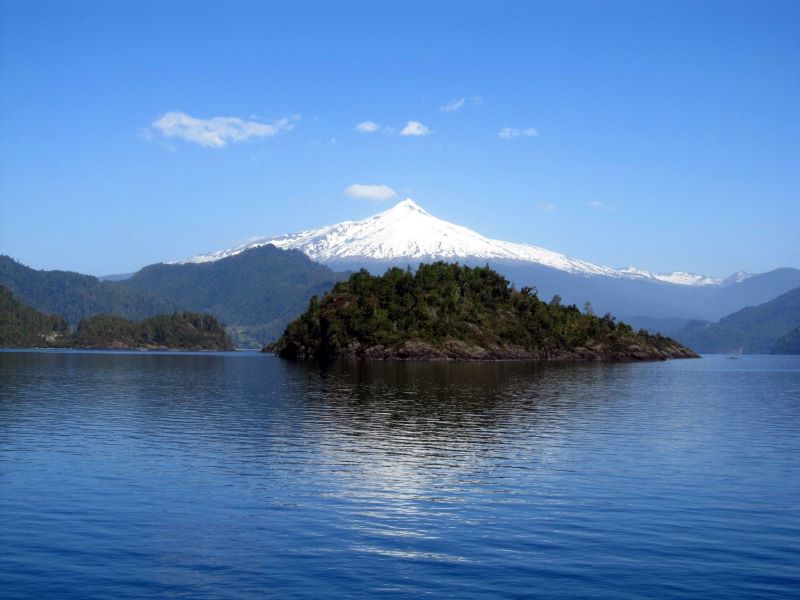 9 especies endémicas de Chile en peligro de extinción