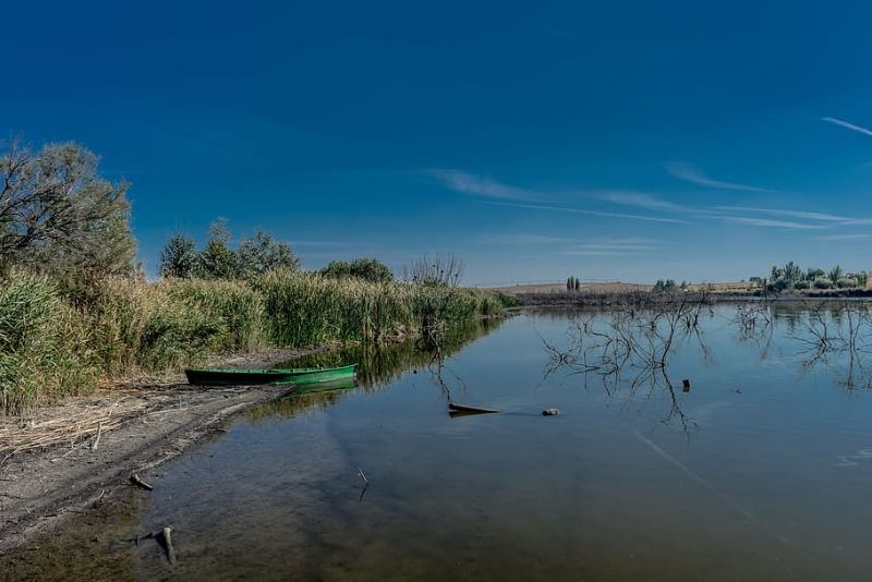 Urge salvar el Parque Nacional de las Tablas de Daimiel