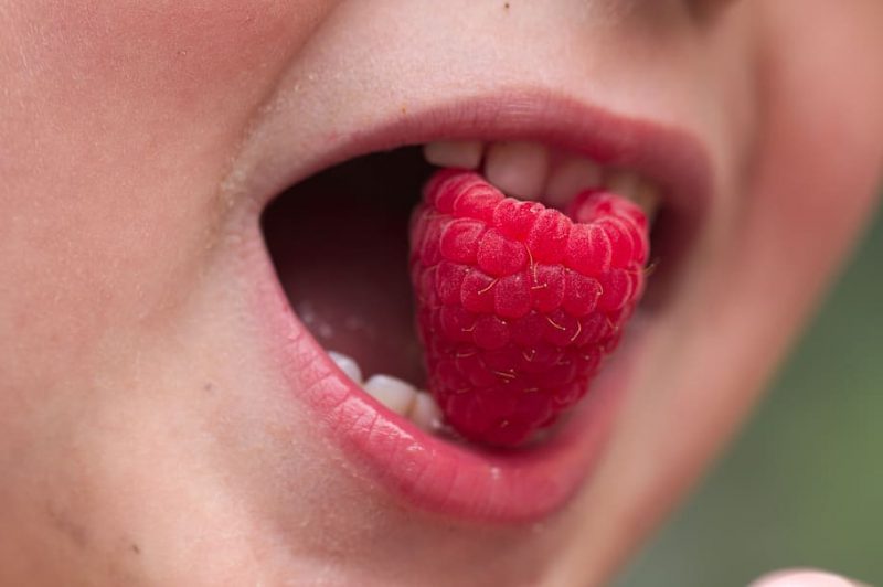 Una dieta saludable óptima para tu salud oral