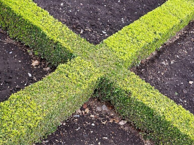 Ley de la Naturaleza: lo que los votantes europeos deben saber