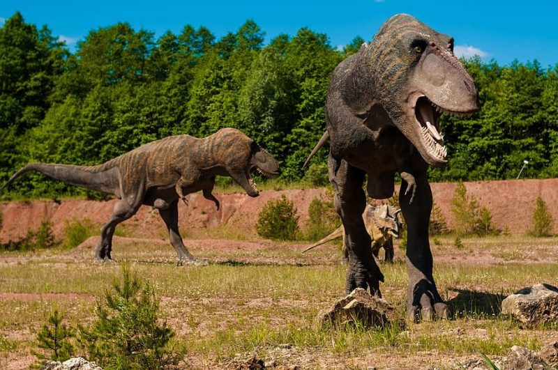 Los antepasados ​​de los humanos convivieron con los dinosaurios