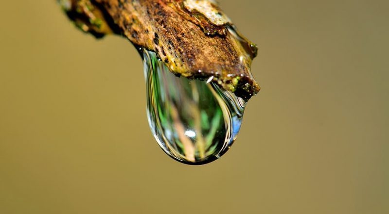 En España NO hay agua para tanto regadío