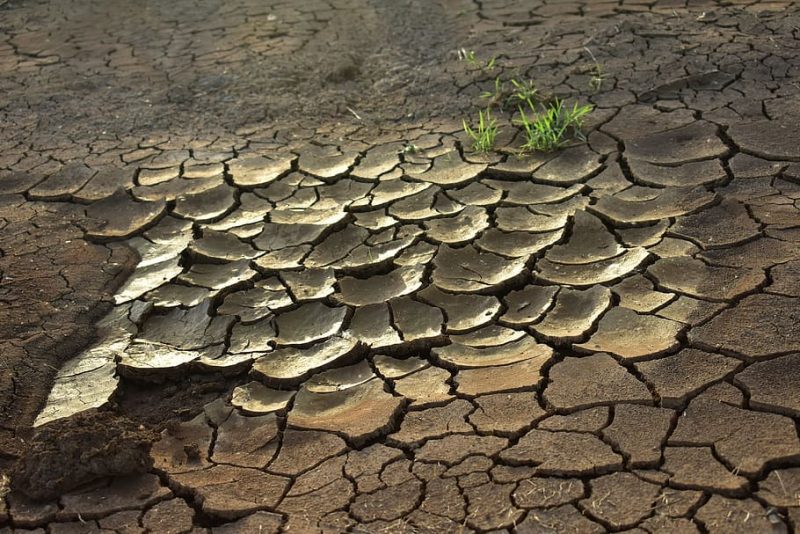 Día Mundial contra la desertificación y la Sequía 2023