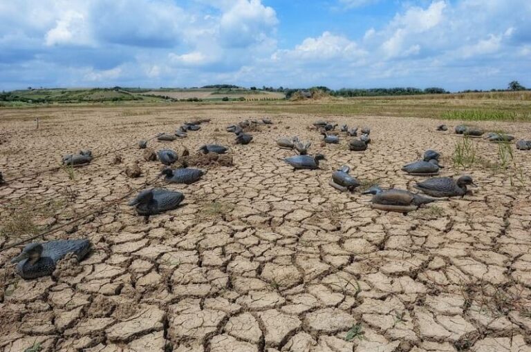 Restauramos la naturaleza en la UE o todo se va a pique