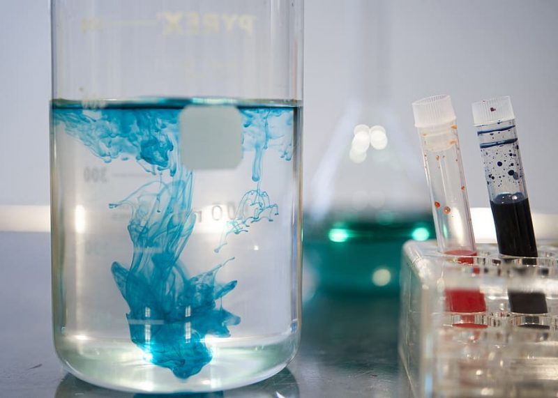 Bioplásticos que también amenazan al medio ambiente