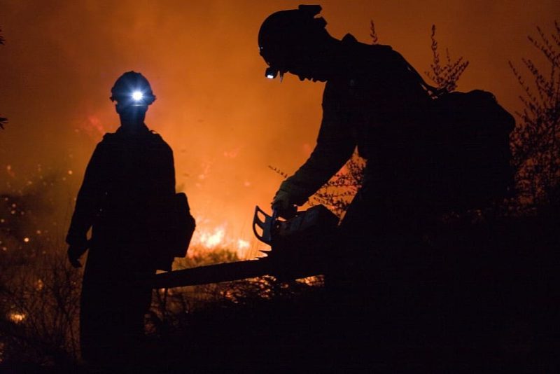 ¿Por qué en verano hay más incendios forestales?