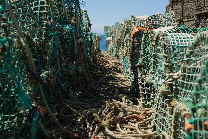 Pesca sostenible en la UE: mejora, pero aún carece de resiliencia